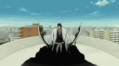 Kyoraku Shunsui Bleach GIF