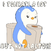 Lactose Intolerant Sticker