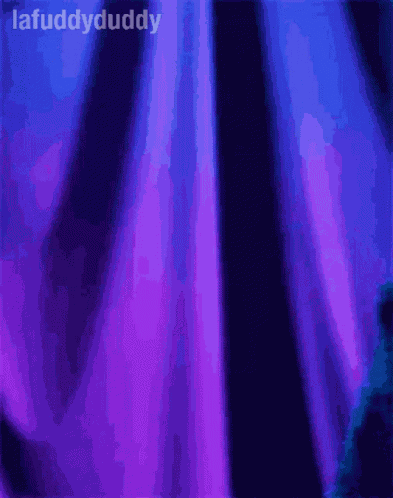 Lafuddyduddy Quite GIF