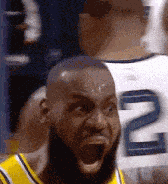Lakers Lebron GIF