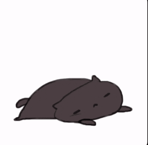 Lan And Babbu Fat Cat GIF GIF
