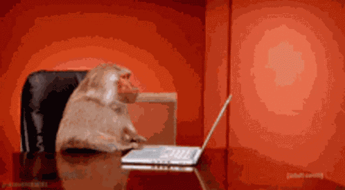 Laptop GIF