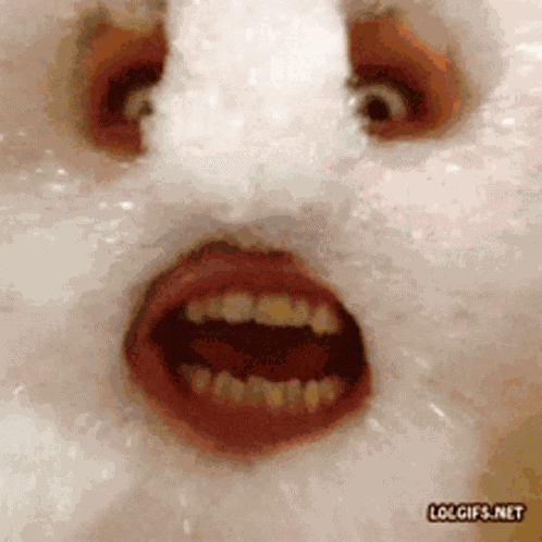 Laugh Funny GIF