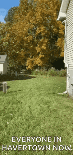 Lawnmower Garden GIF