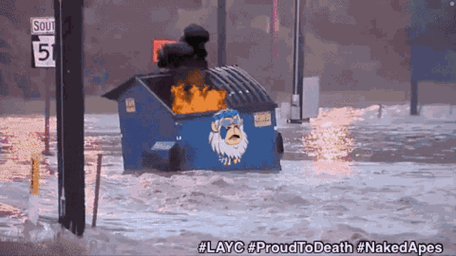 Layc Proud To Death GIF