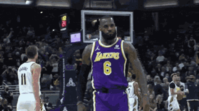 Lebron James Basket Ball GIF