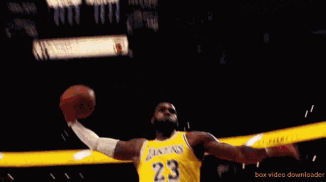 Lebron James Dunk GIF