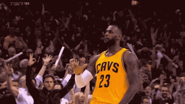 Lebron James GIF