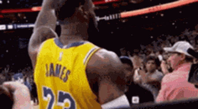 Lebron James Labron GIF