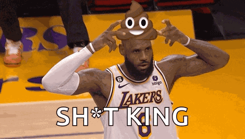Lebron James Lakers GIF