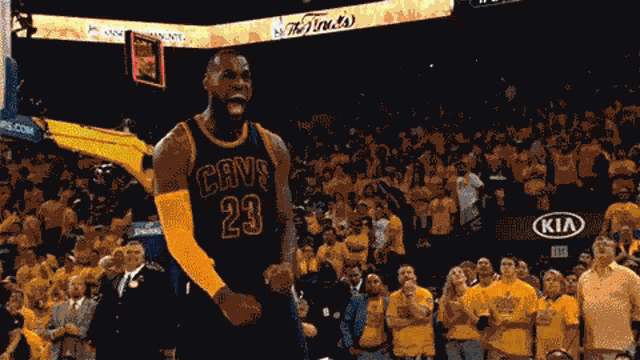 Lebron James GIF