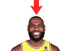 Lebron James The Bron Jame Sticker