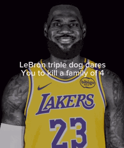 Lebron King Meme