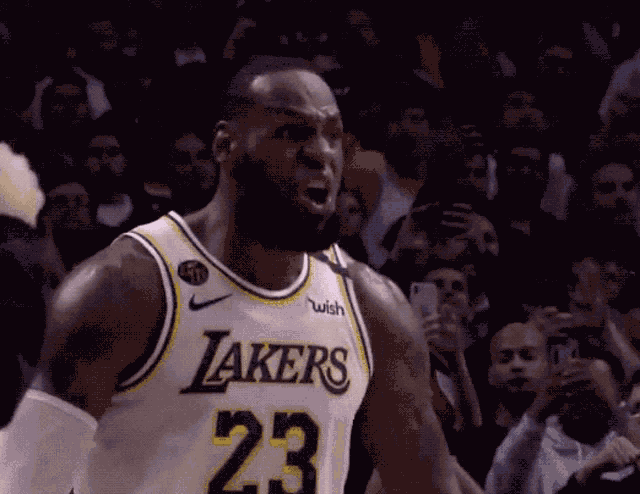 Lebron Lebron James GIF