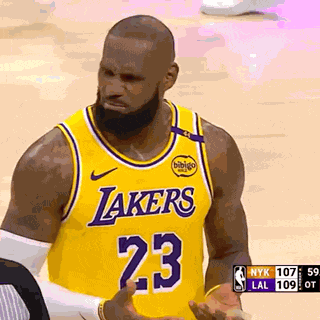 Lebron Lebron James GIF