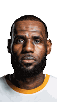Lebron Sticker
