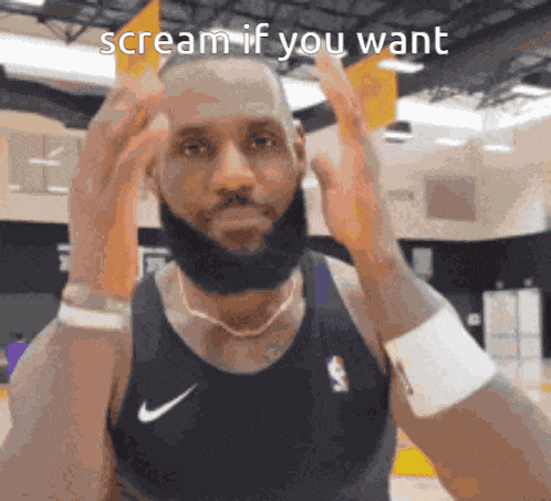 Lebron Meme GIF