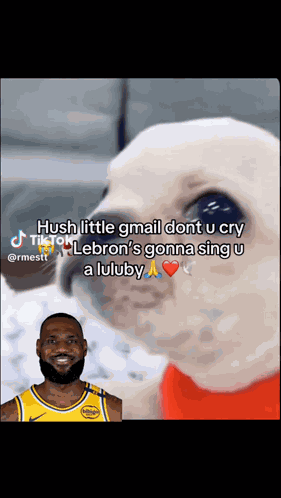 Lebron Pibble GIF