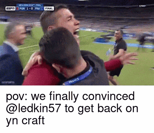 Ledkin57 Yn Craft GIF
