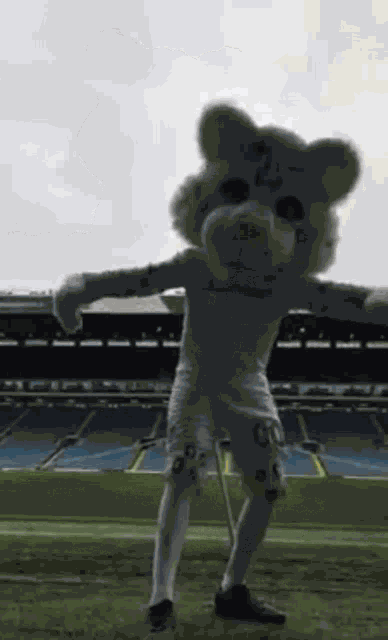 Leeds Kop Cat GIF