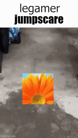 Legamer Legamer Jumpscare GIF