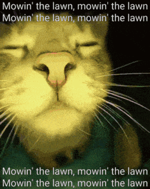 Lemon Demon Lawnmower GIF