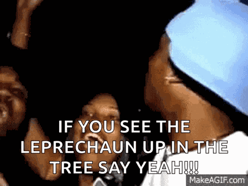 Leperchaun Perfect GIF
