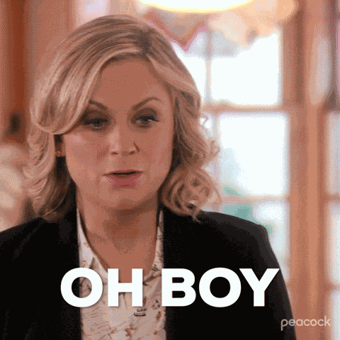 Leslie Knope Parks And Rec GIF