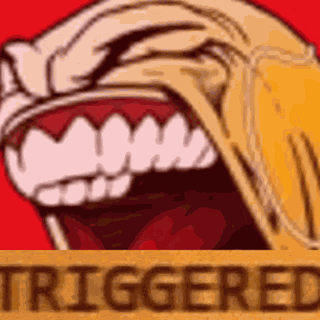 Lessgooooo Triggered GIF