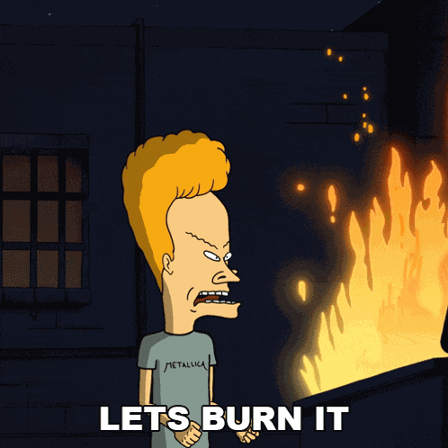 Lets Burn It Beavis GIF