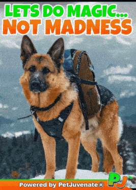 Lets Do Lets Make Magic Together GIF