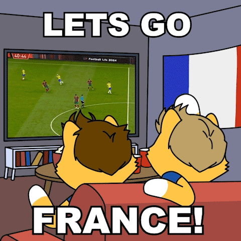 Lets Go France Allez Les Bleus GIF