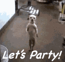 Let'S Party Happy GIF