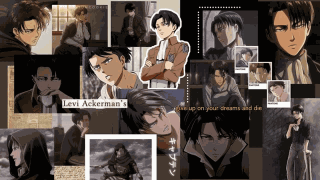 Levi Levi Ackerman Meme