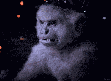 Lex Monkey Monkey Lex GIF