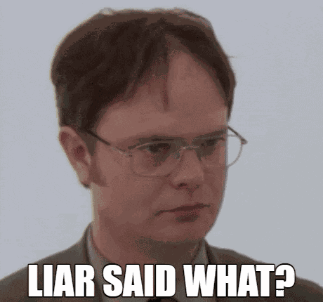 Liar Liar Said What GIF