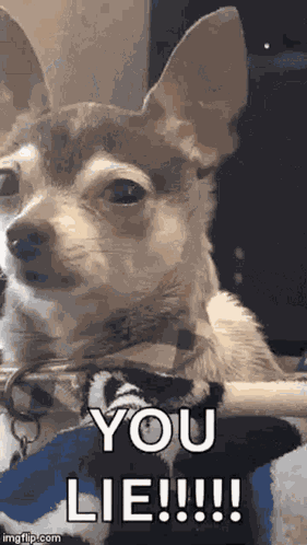 Liar GIF