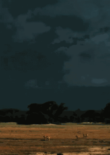 Lightning From Http://Headlikeanorange.Tumblr.Com/ GIF