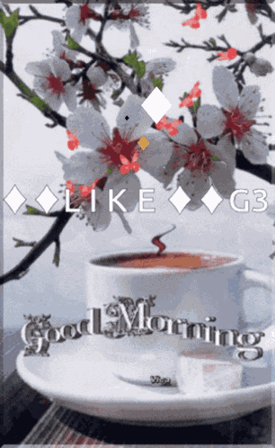Likeg3 Morning GIF