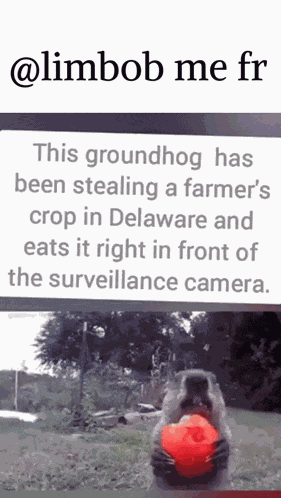 Limbob GIF