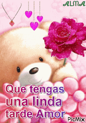 Linda Tarde Amor GIF