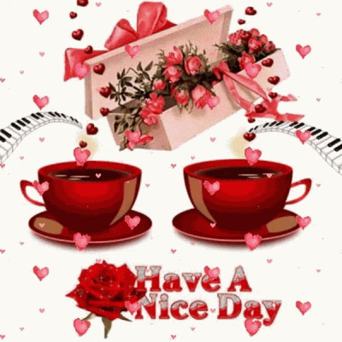 Lindo Dia GIF