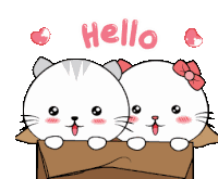 Line Sticker Cat Sticker Sticker