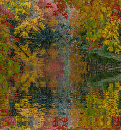 Linville River River GIF