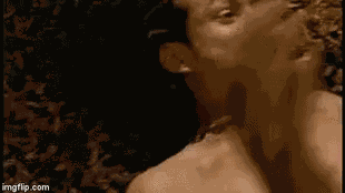 Lion Vs George Of The Jungle Fight GIF