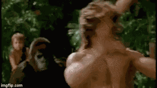 Lion Vs George Of The Jungle Fight GIF