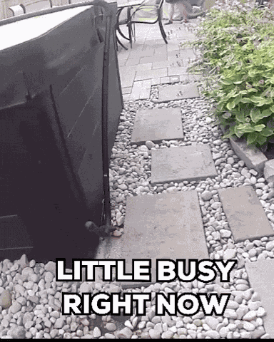Little Busy I'M Busy GIF
