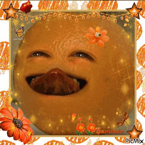 Little Orange Annoying Orange GIF