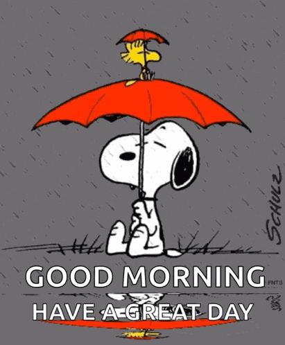 Lluvia Rain GIF