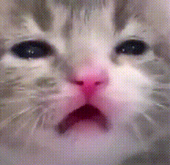 Lmsy Sylm GIF